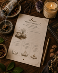 Gratitude Journal Printable PDF